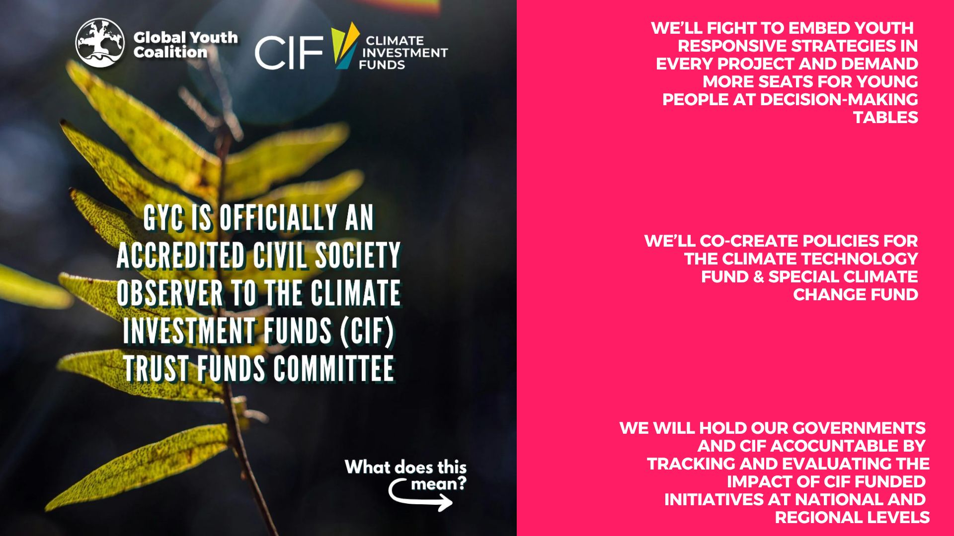 GYC CIF OBSERVER